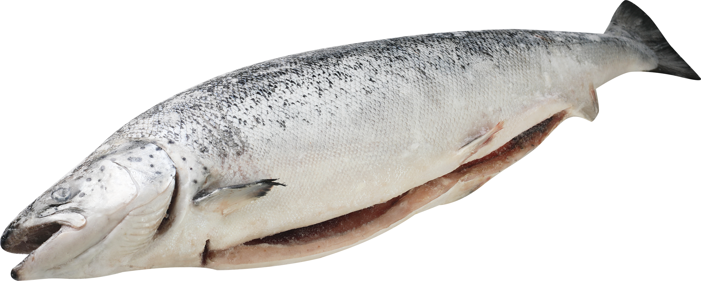 Изображение товара Свежемороженый лосось с головой, 2-3 кг, качество Чили