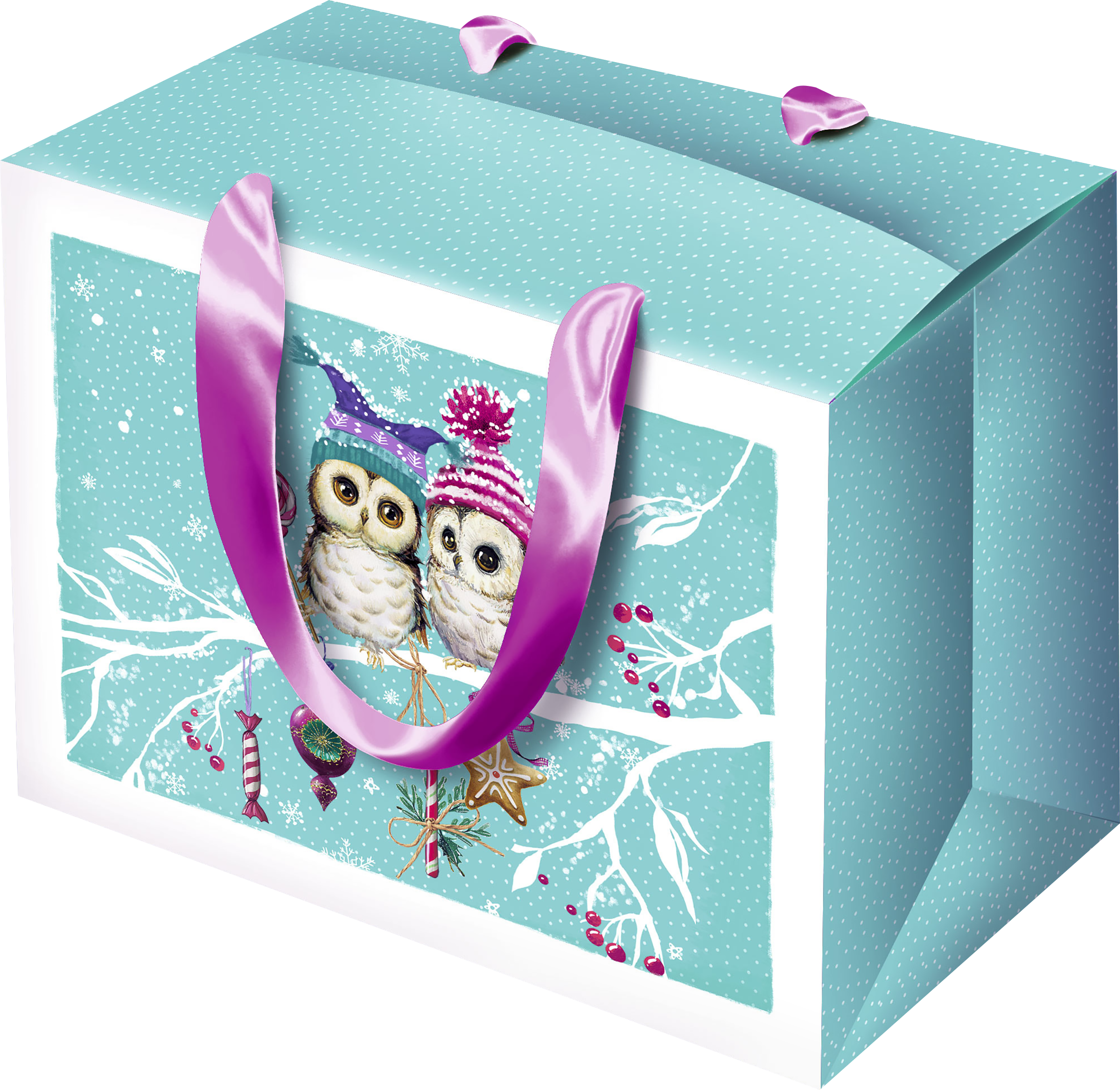 Изображение товара Подарочная сумка-коробка АРТ ДИЗАЙН размер L 23х16см яркий дизайн