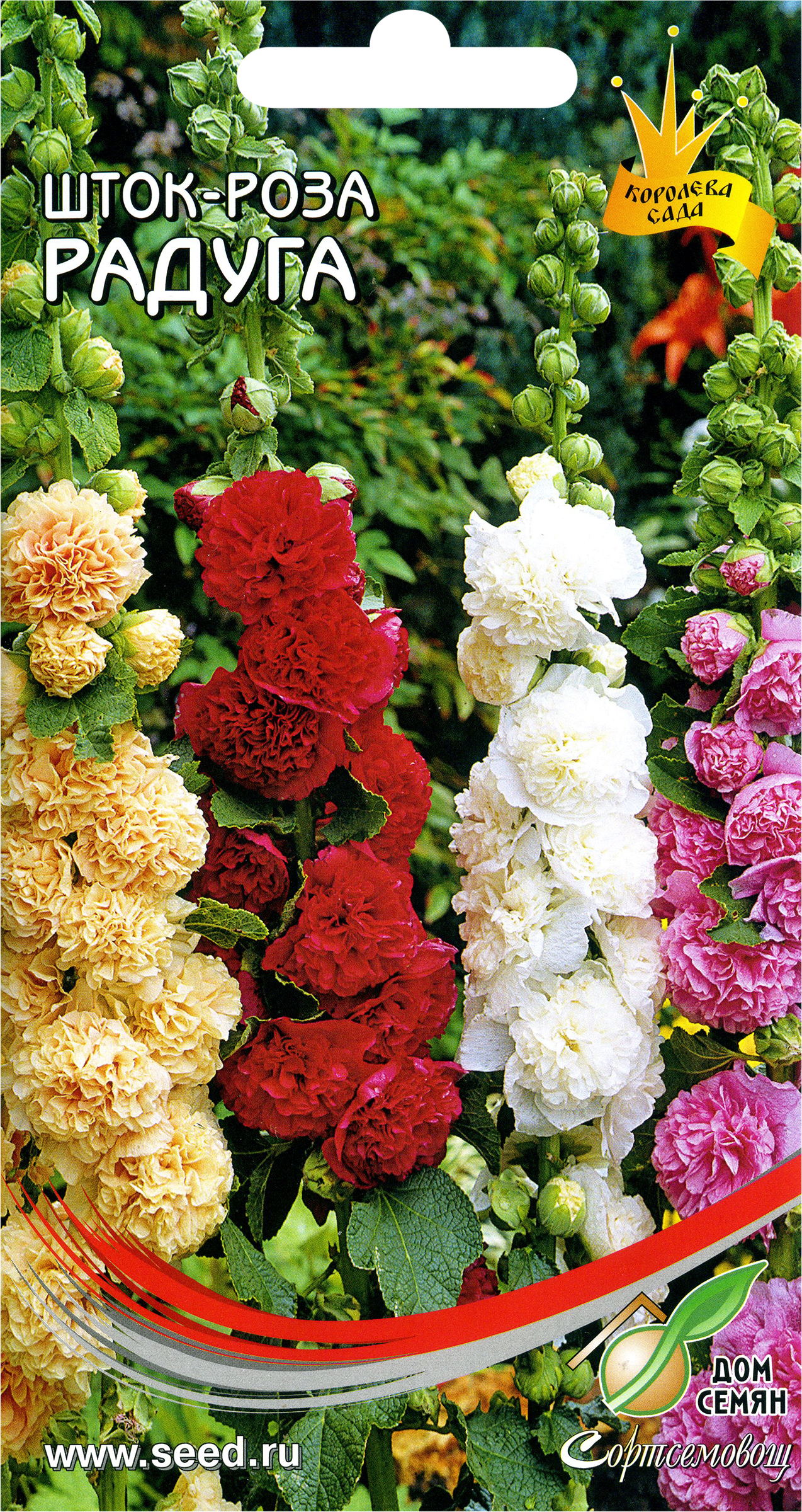 Изображение товара Семена ДОМ СЕМЯН Шток-роза Радуга, 0,33г