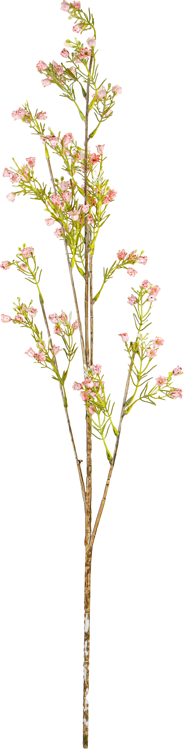 Изображение товара Растение искусственное GIARDINO CLUB Колокольчик, Арт. CH01525937