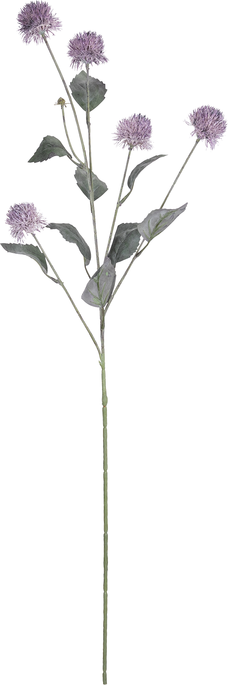 Изображение товара Искусственное растение Цирсиум GIARDINO CLUB 82см для интерьера