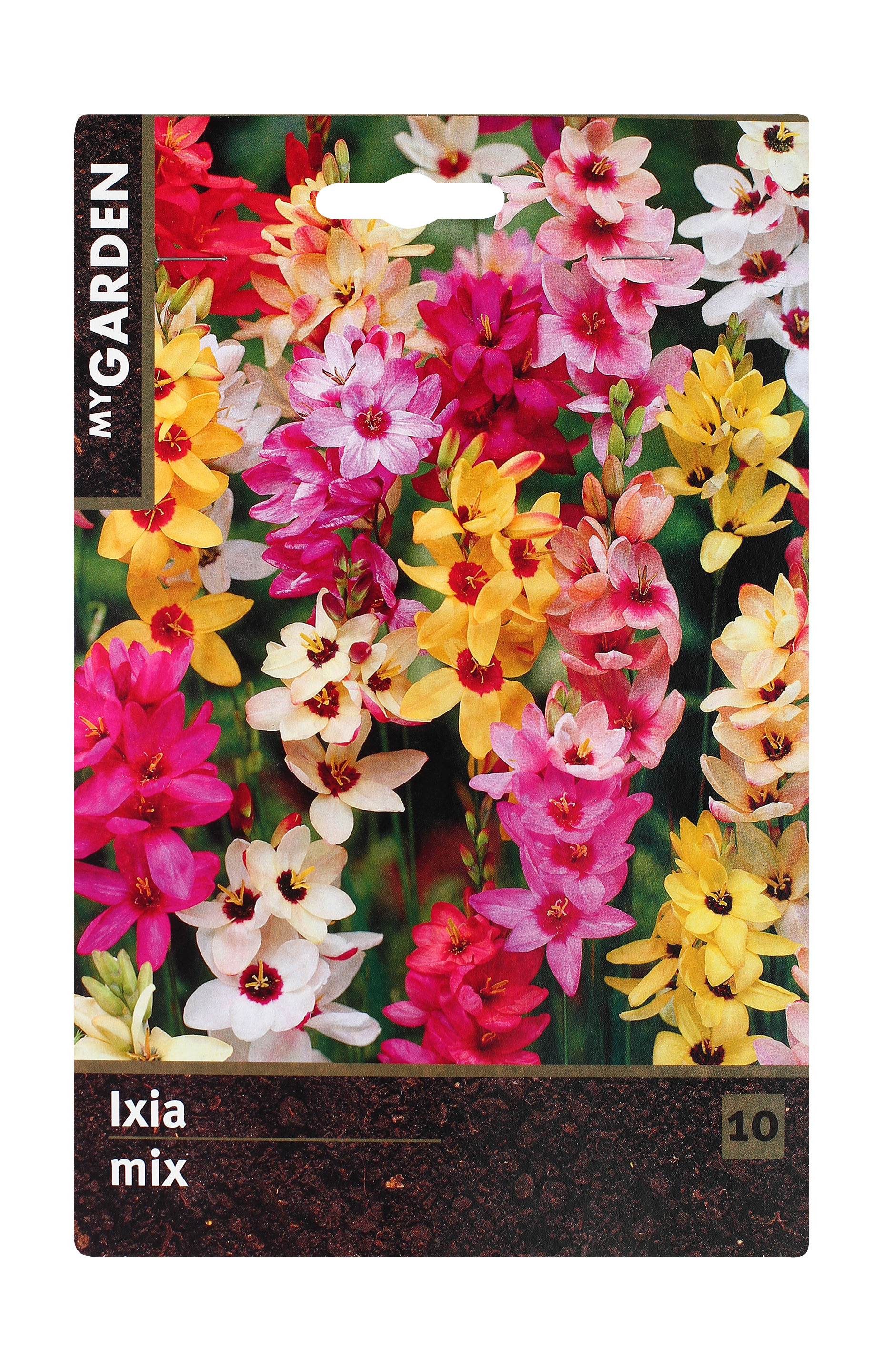 Изображение товара Луковицы MY GARDEN Иксия микс 10шт