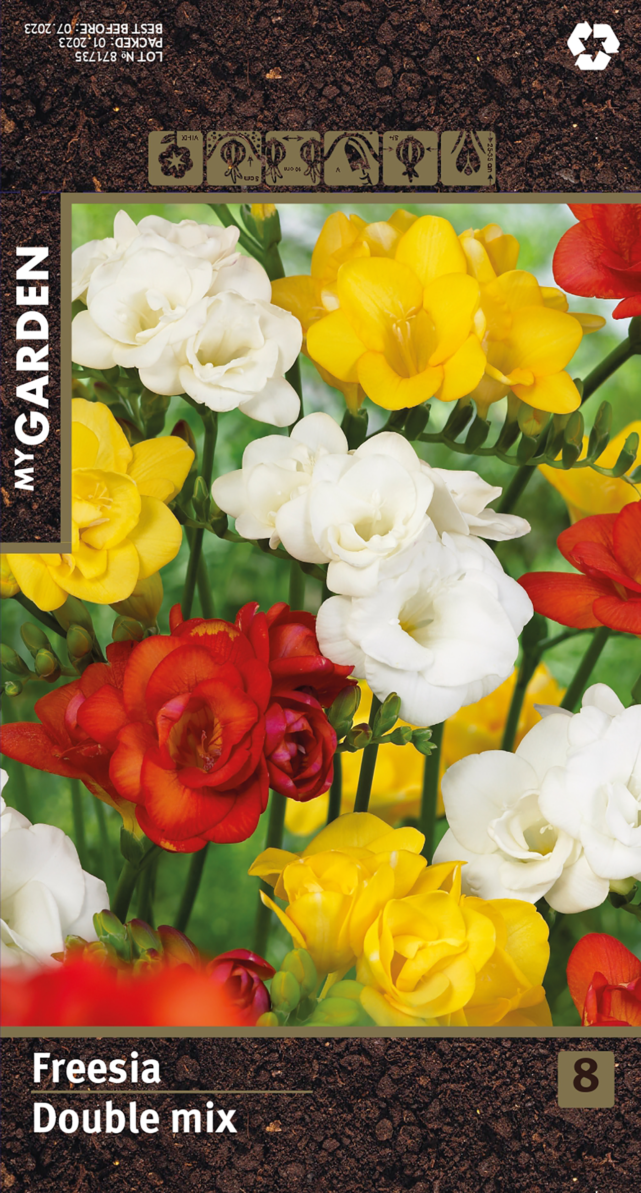 Изображение товара Фрезия махровая микс, 8шт от MY GARDEN