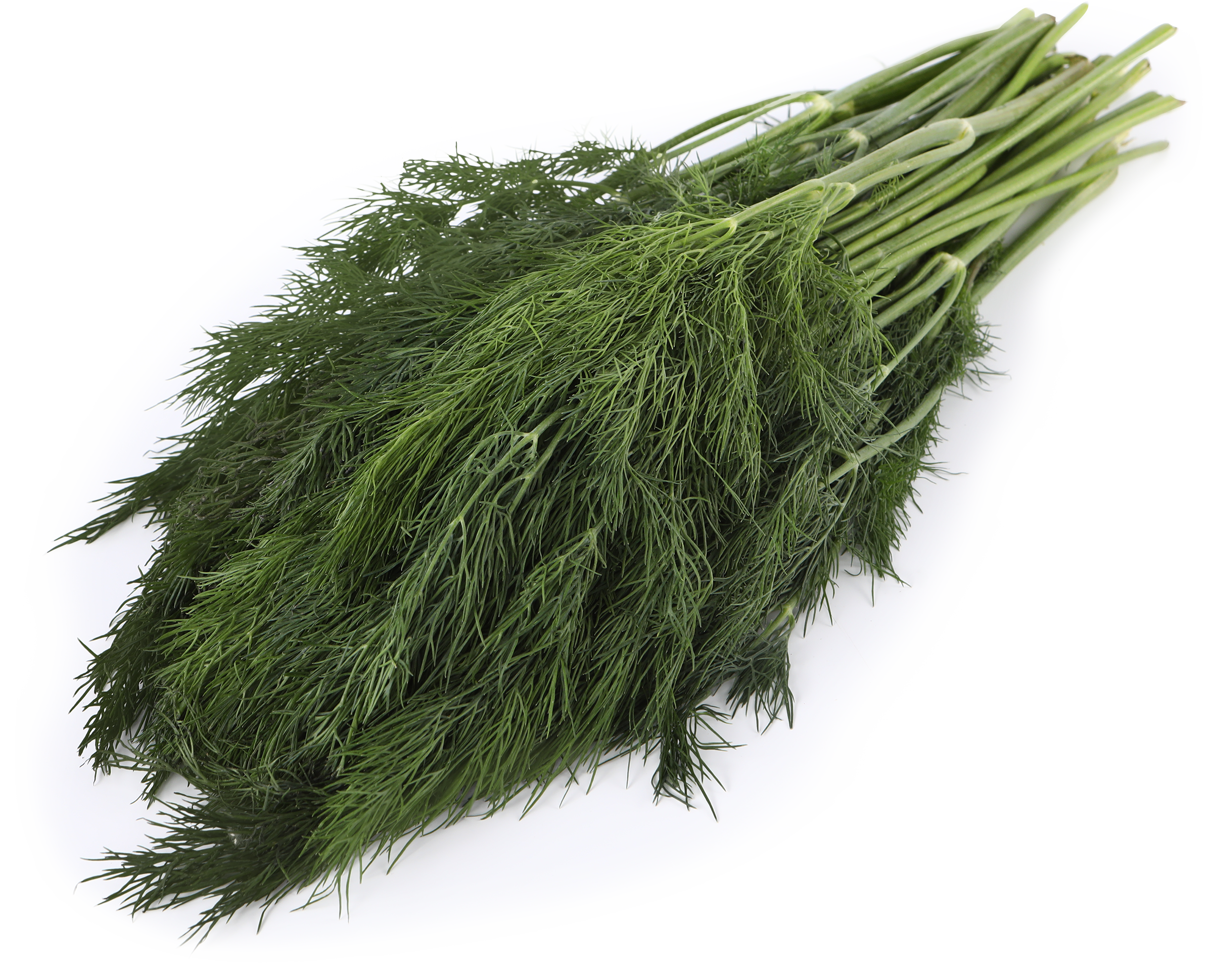 Изображение товара Свежий укроп 180г — натуральная зелень для лучших блюд