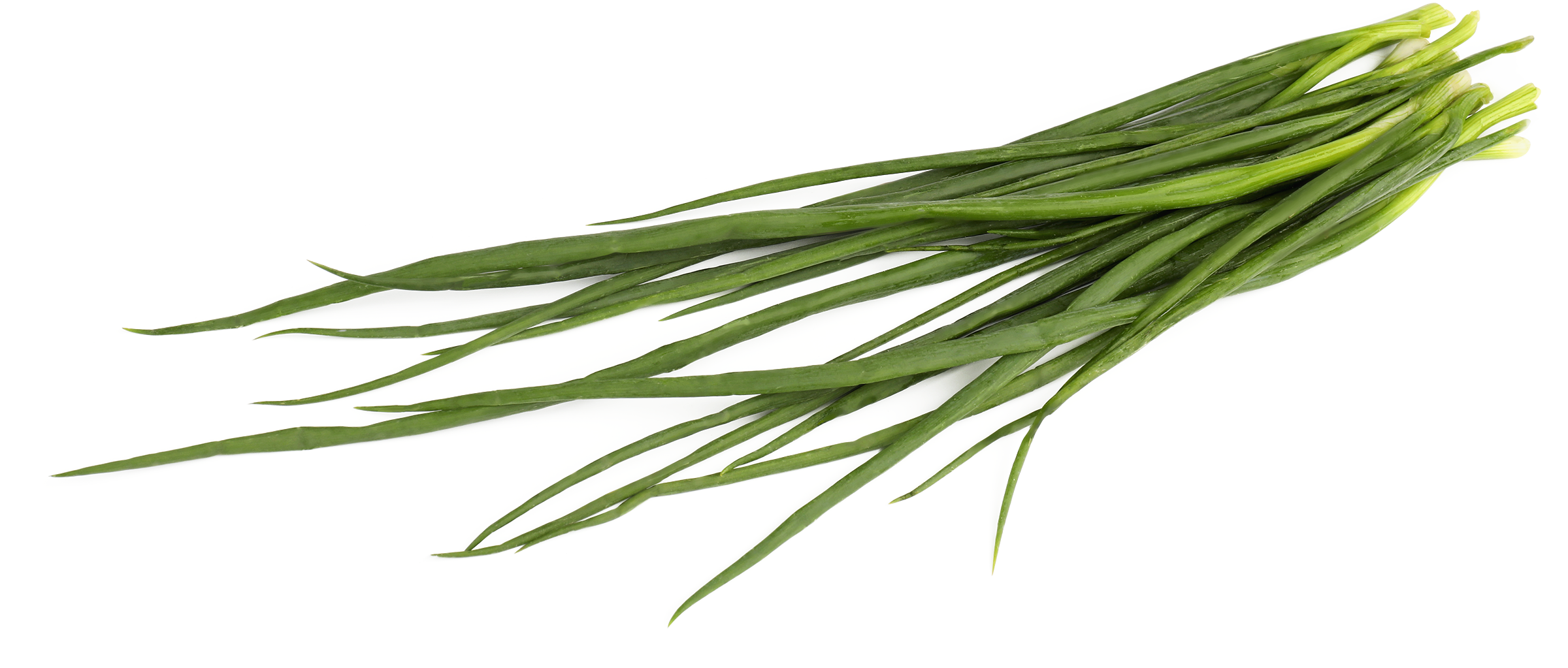 Изображение товара Свежий зеленый лук 180г - качественный продукт из России