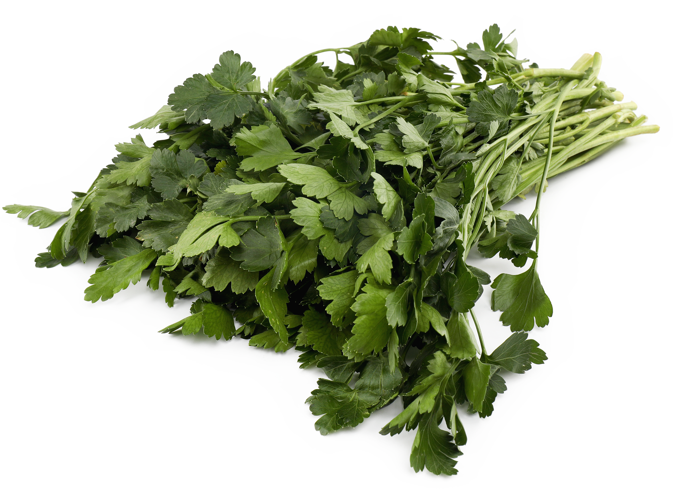 Изображение товара Свежая петрушка 180г натуральный продукт для кулинарии