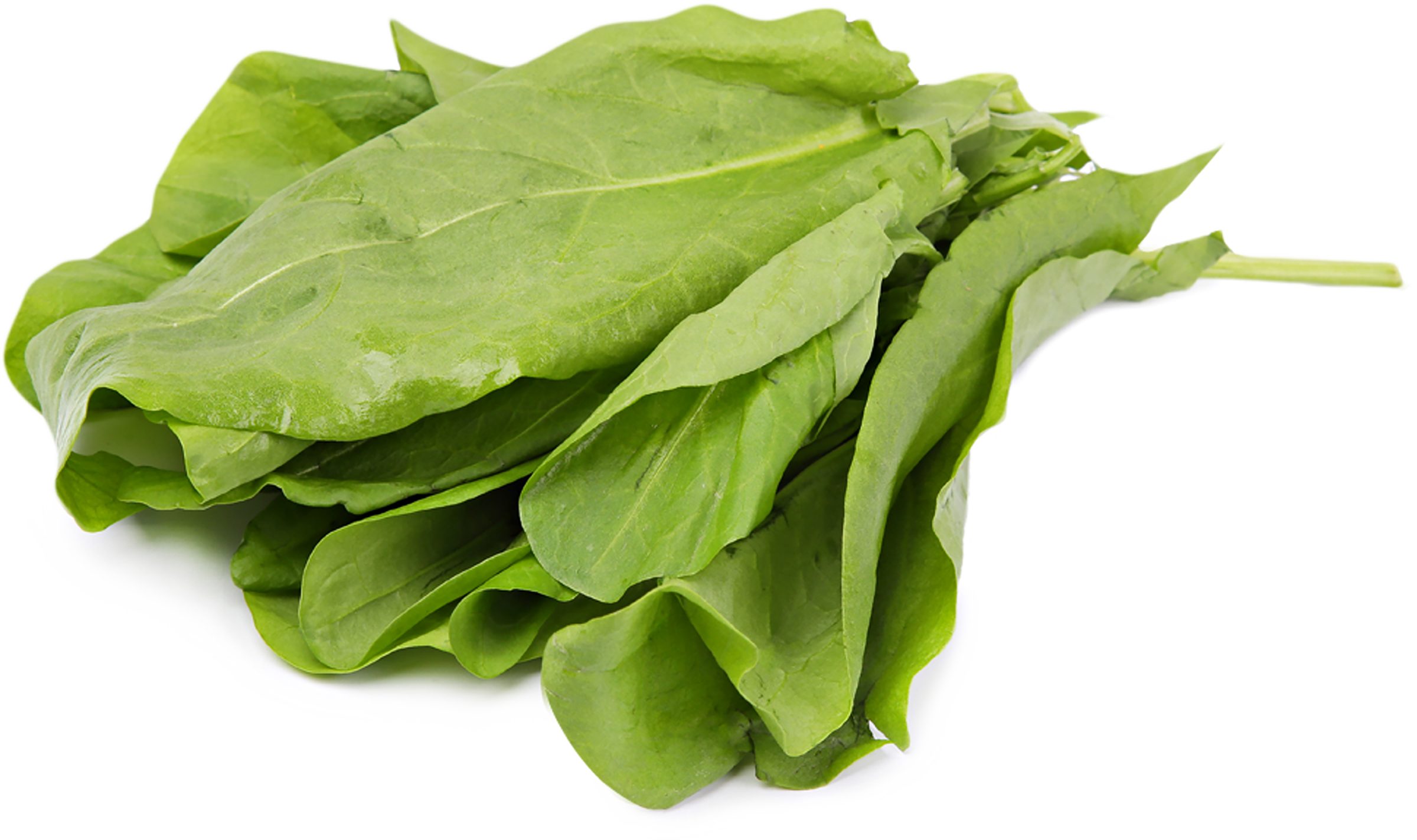 Изображение товара Щавель 50г свежая зелень натуральный продукт для салатов и супов