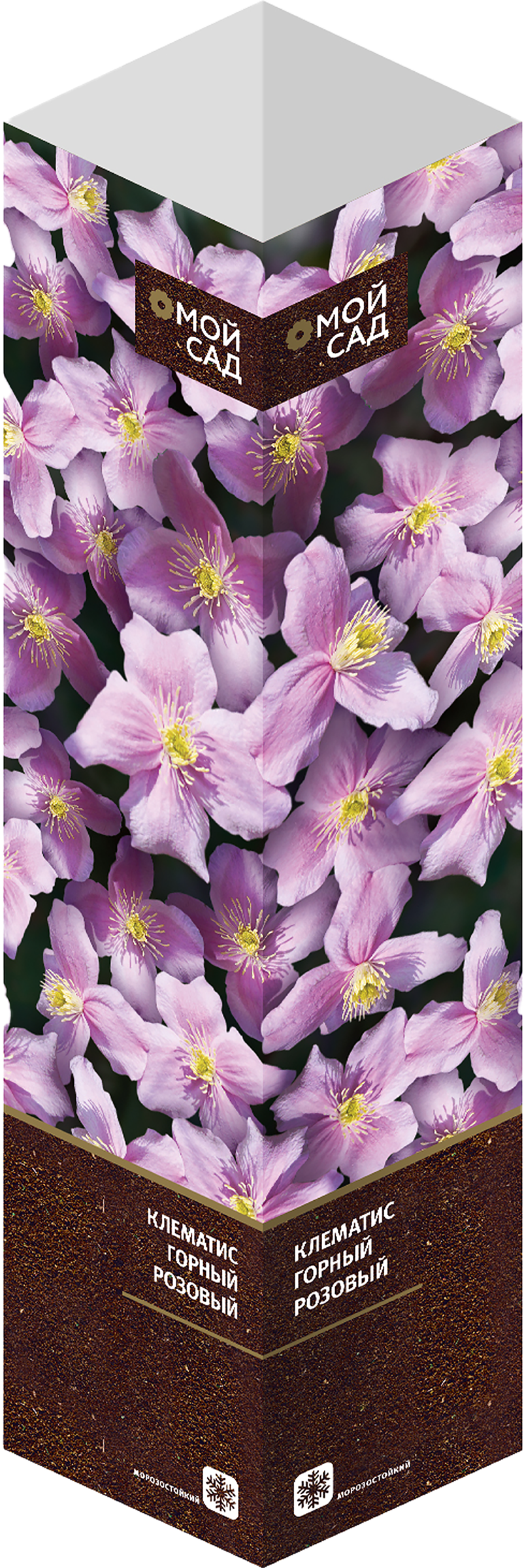 Изображение товара Растение вьющееся Микс, в коробке