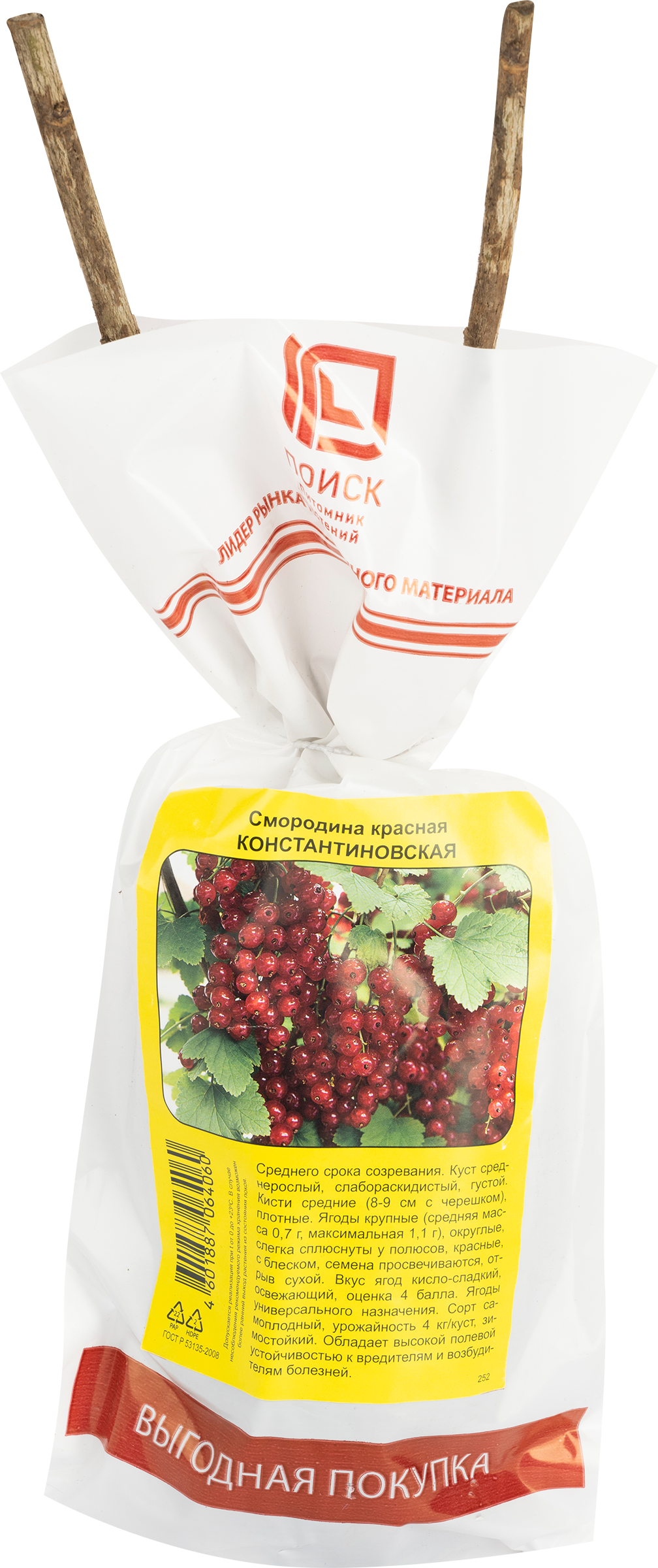 Изображение товара Саженец плодовый ПОИСК Смородина красная, традиционные сорта