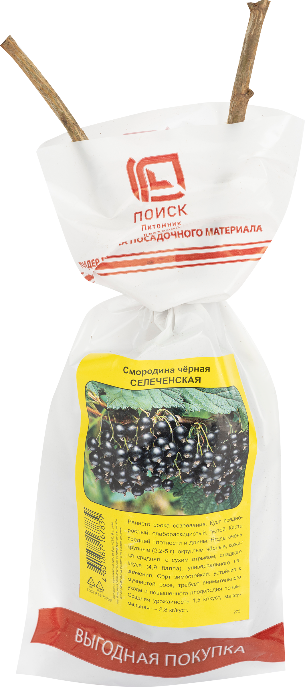 Изображение товара Саженец плодовый ПОИСК Смородина черная, традиционные сорта