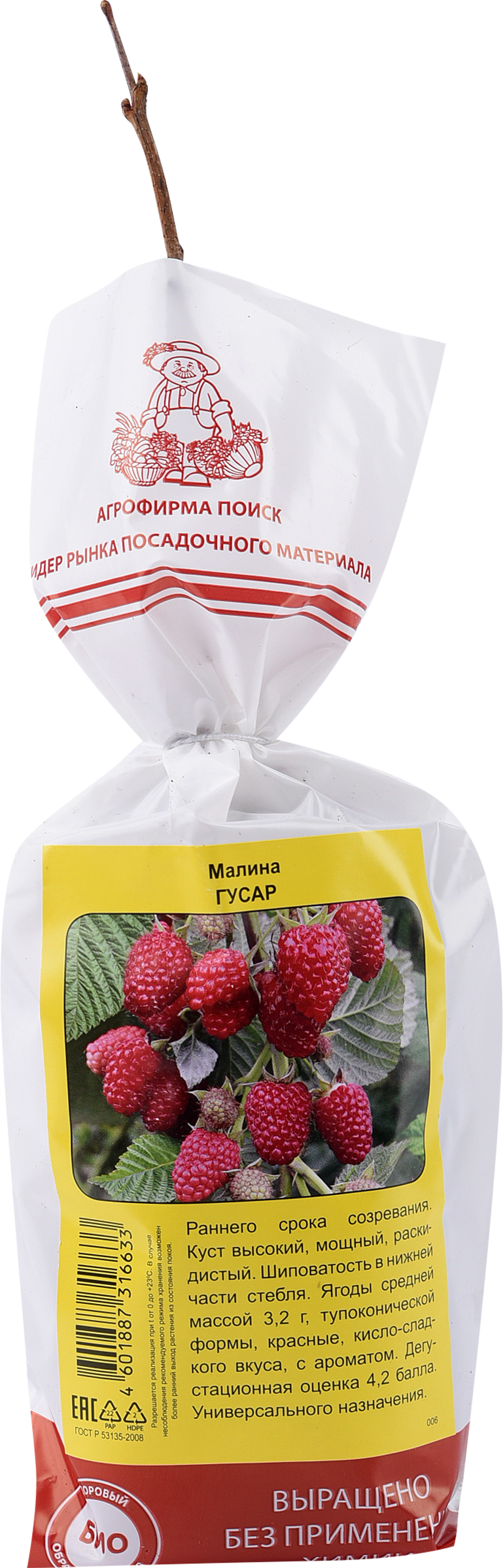 Изображение товара Саженец плодовый ПОИСК Малина, традиционные сорта