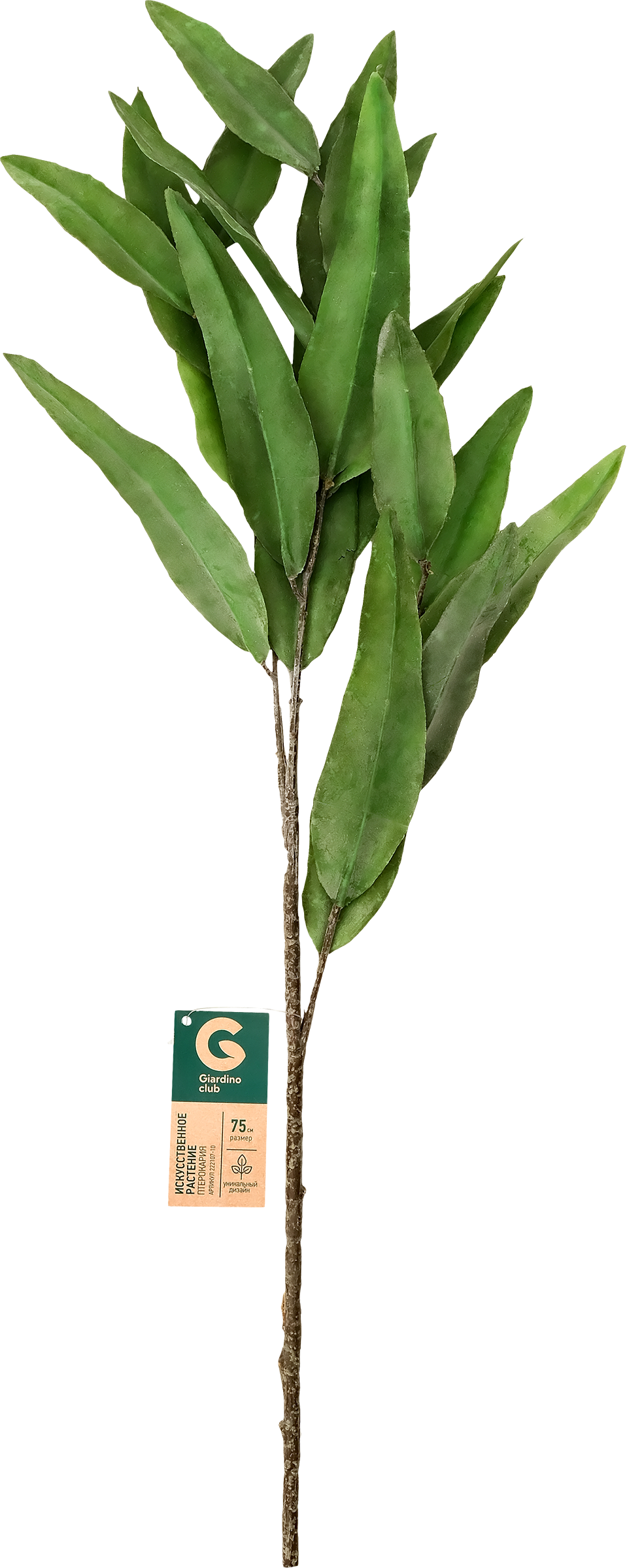 Изображение товара Искусственное растение GIARDINO CLUB Птерокария 75 см для интерьера