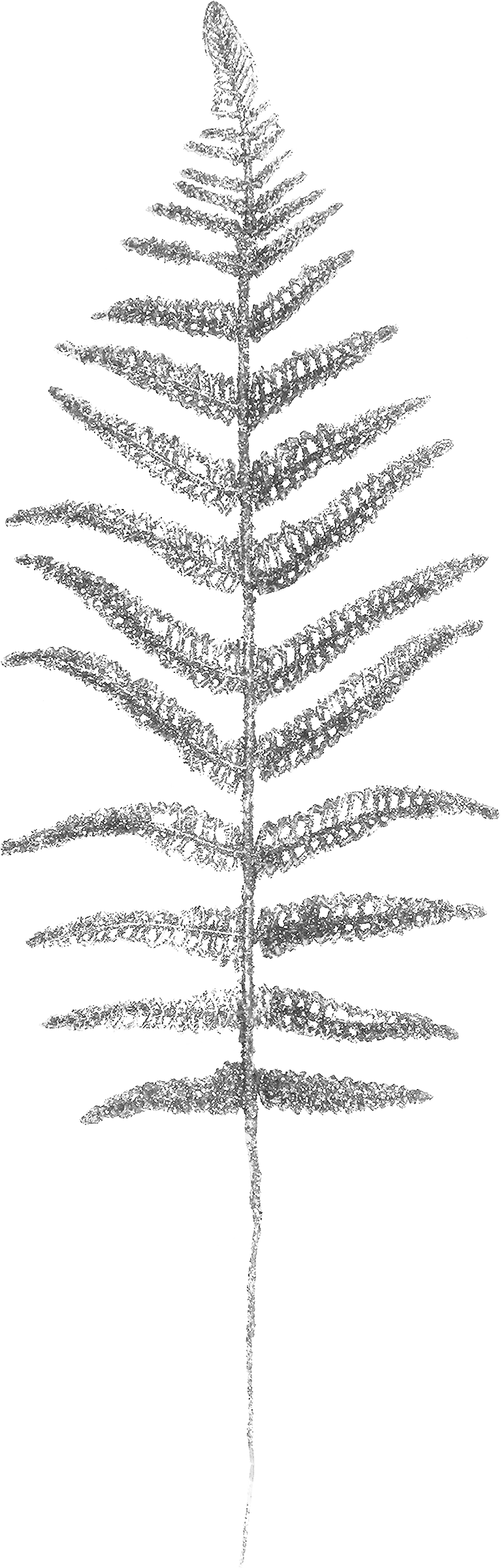Изображение товара Декоративная ветка HOMECLUB Папоротник 45см, серебряный для декора и праздников