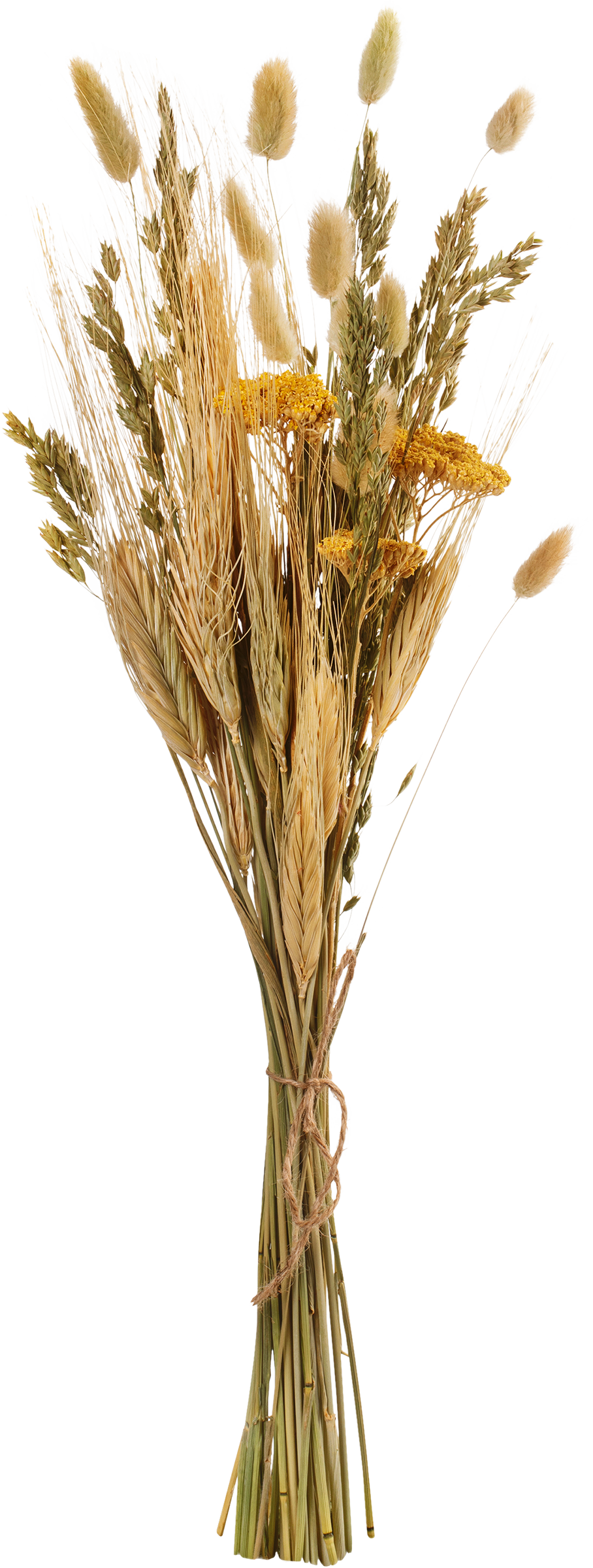 Изображение товара Микс из сухоцветов КОЛХОЗ ЛУЧ с тысячелистником 12x12x50см натуральный декор