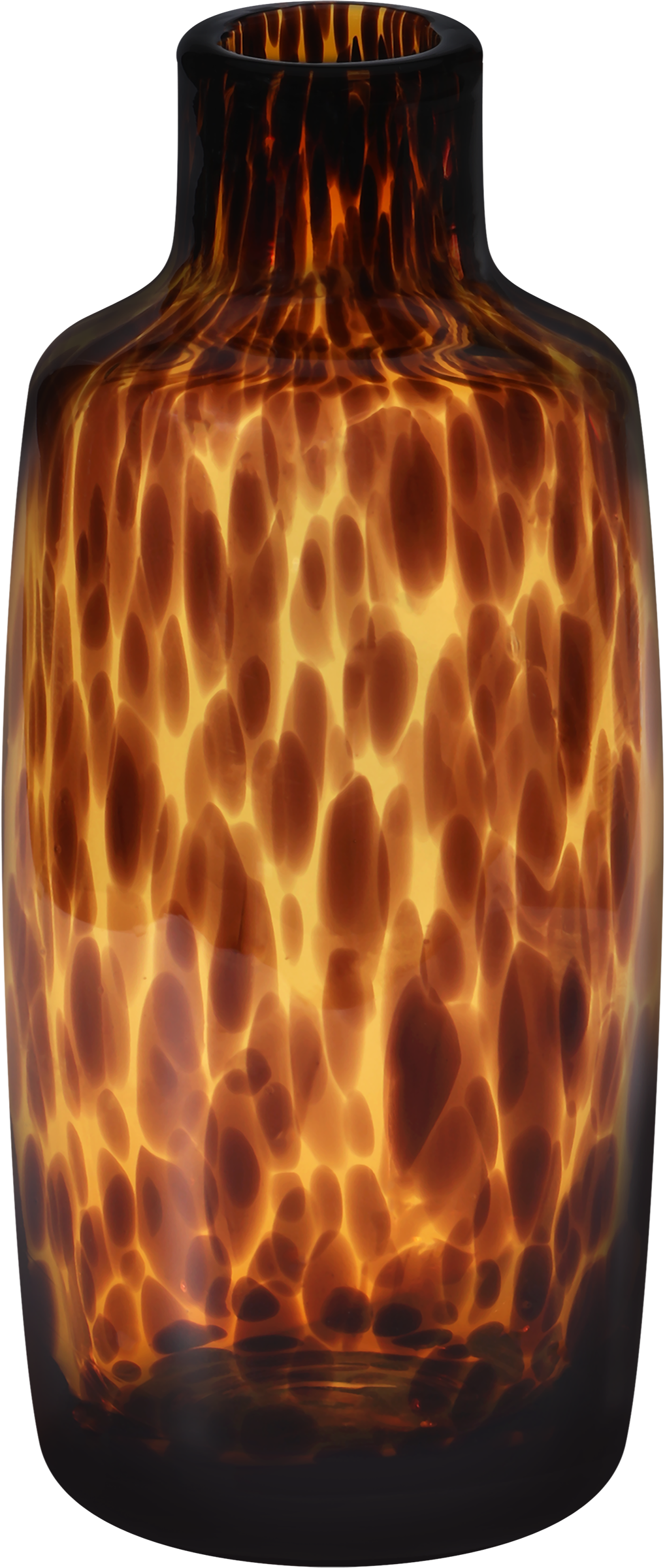 Изображение товара Ваза HOMECLUB Safari 21см стеклянная для живых и сухих цветов