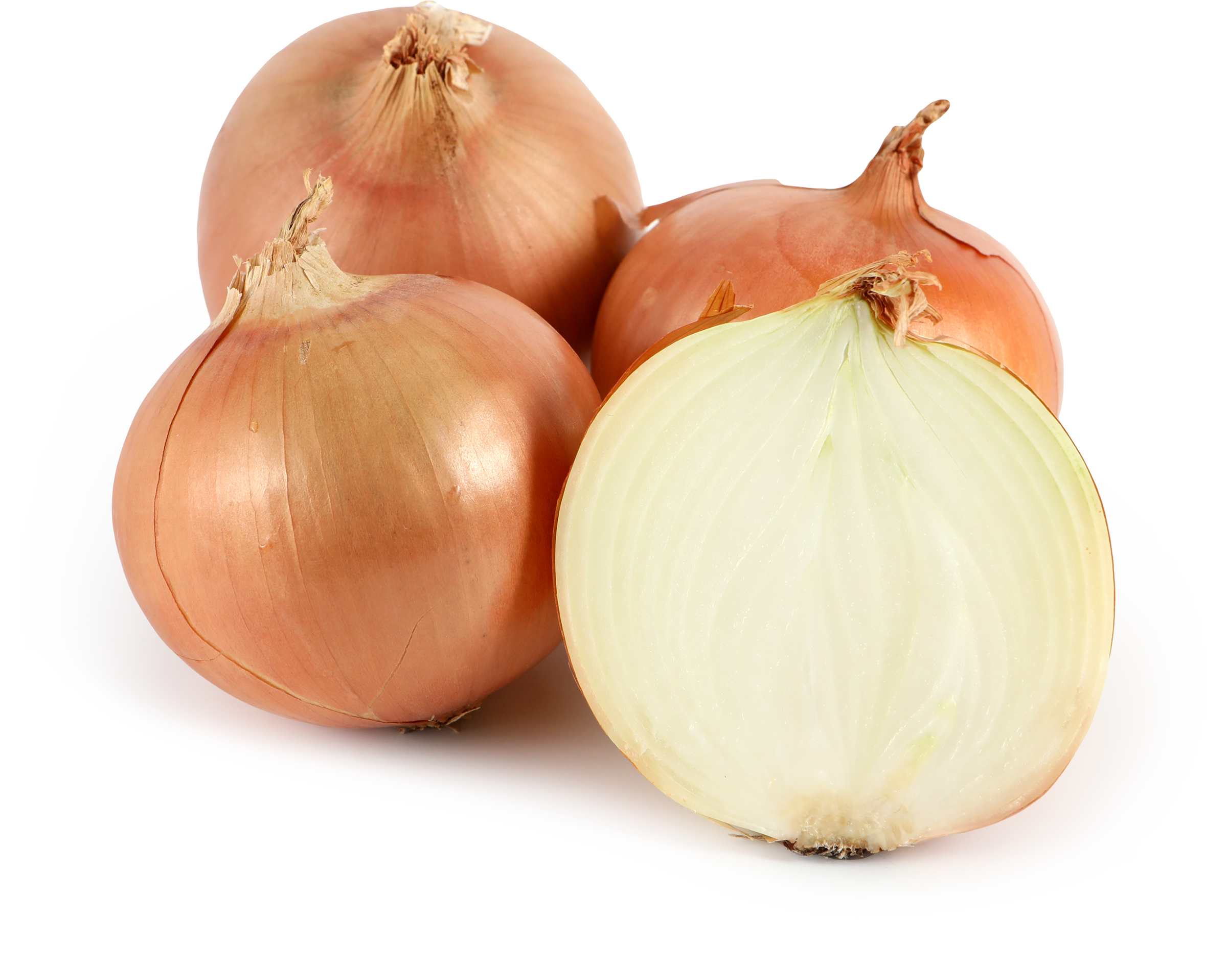 Изображение товара Репчатый лук 600 г премиальное качество по ГОСТ