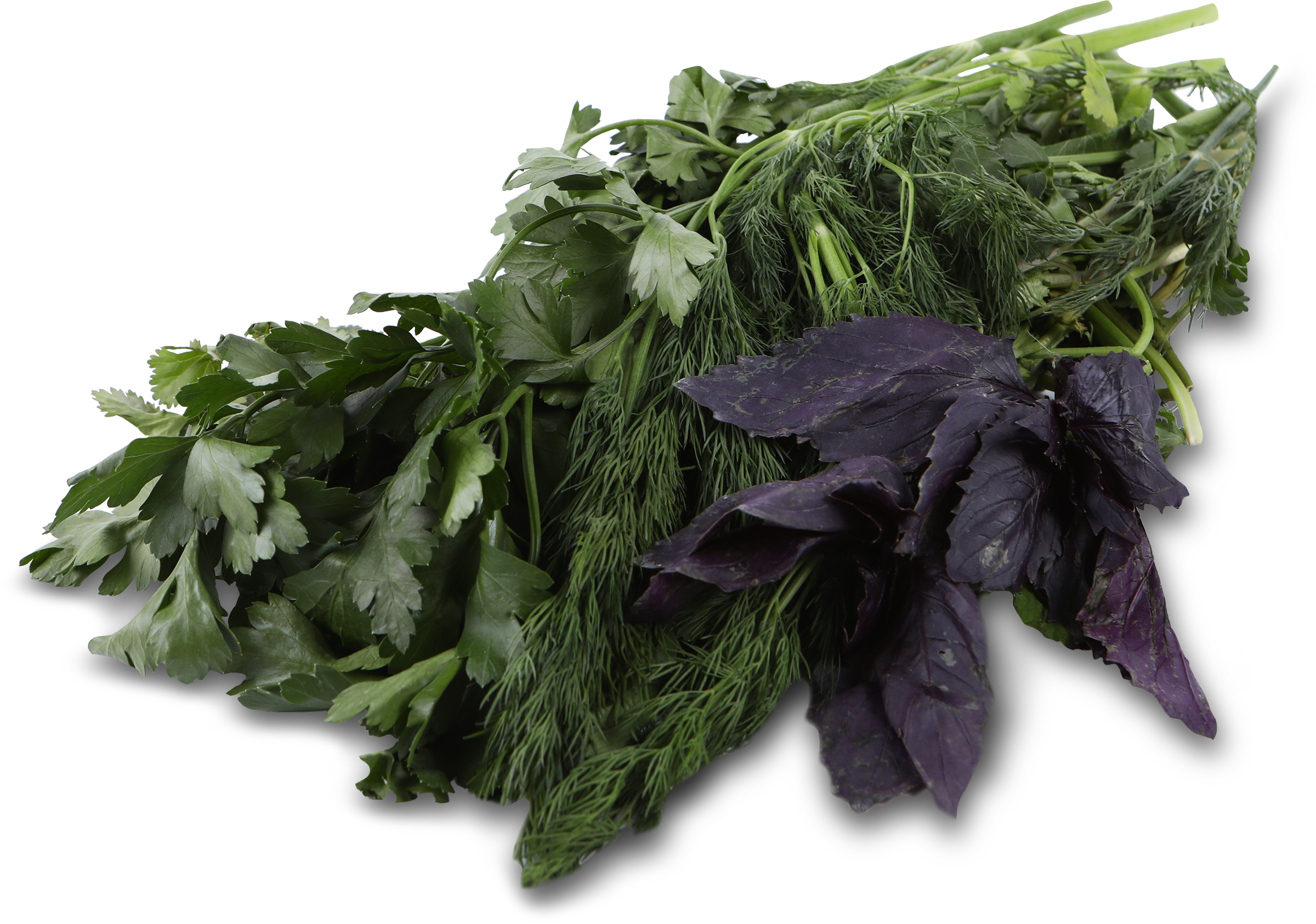 Изображение товара Набор пряной зелени укроп петрушка кинза базилик 150г свежая зелень для блюд