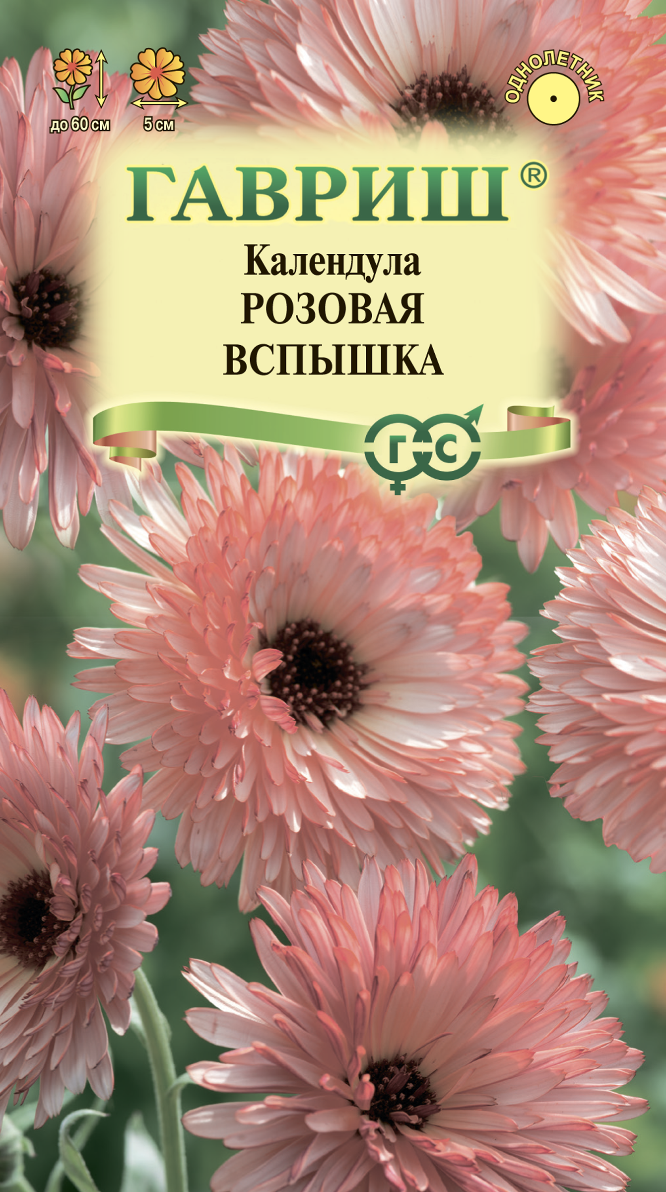 Изображение товара Семена ГАВРИШ Календула Розовая вспышка 0,2г для яркого цветения