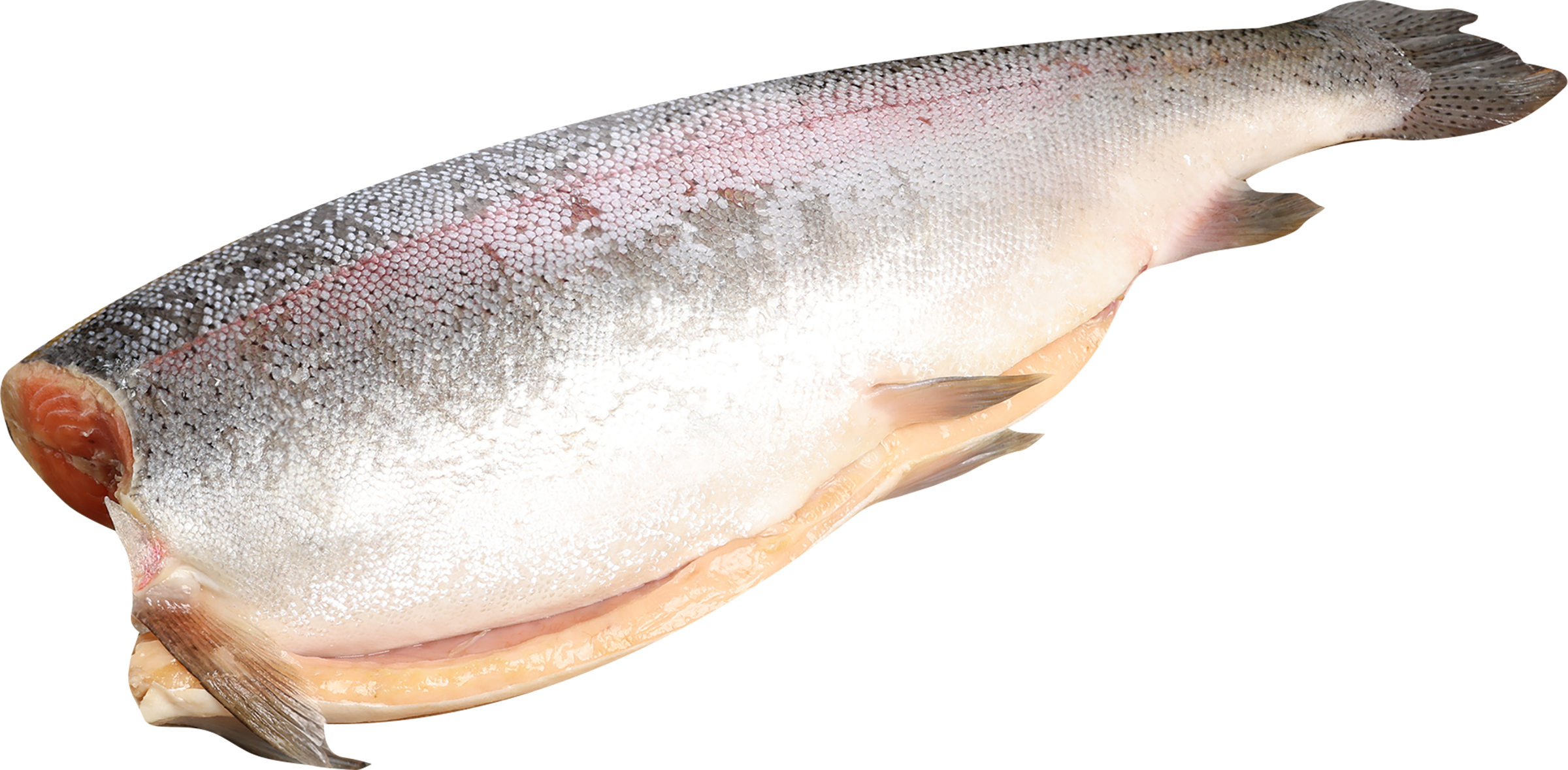 Изображение товара Форель Радужная замороженная потрошеная без головы 1,8–2,7кг, весовая