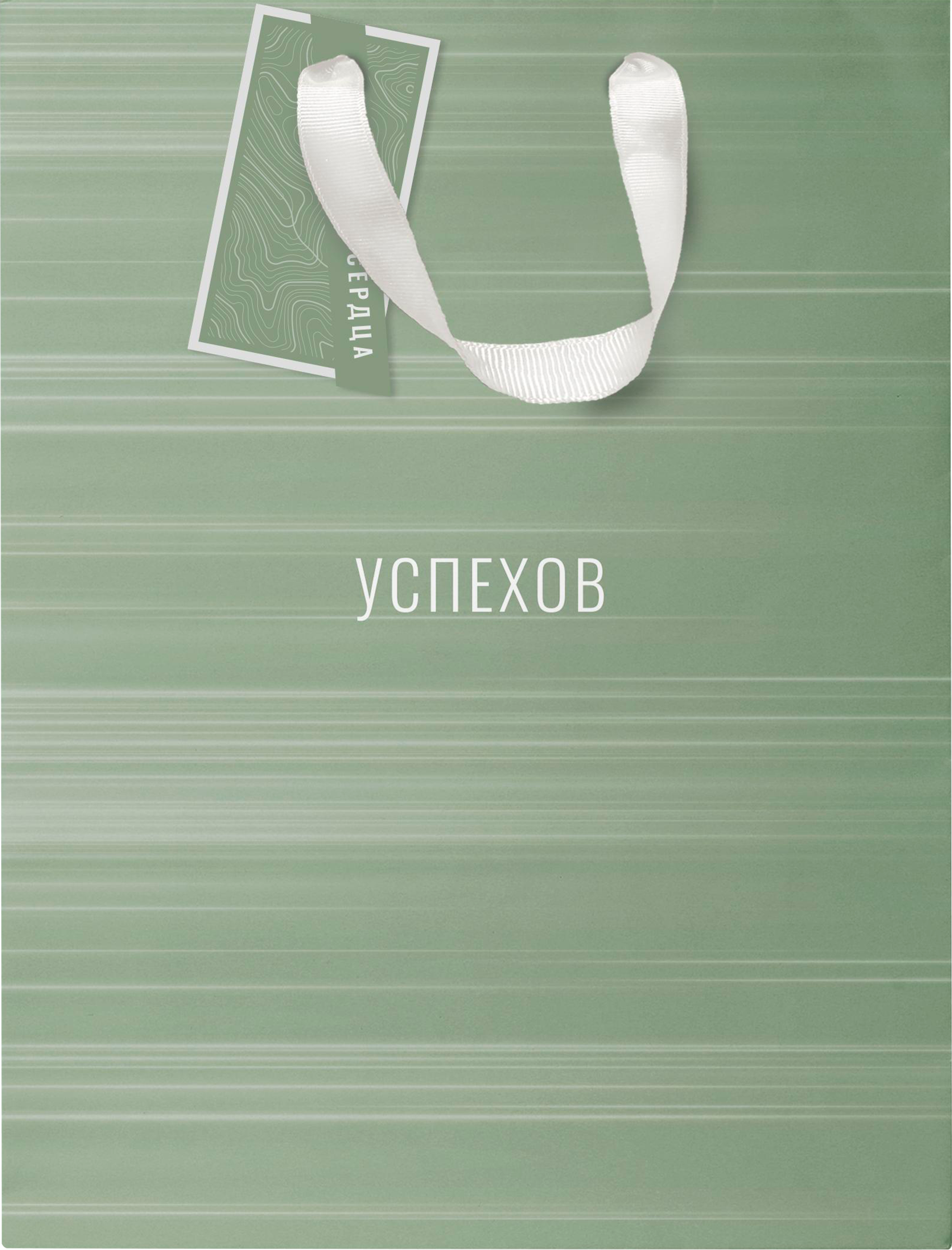 Изображение товара Пакет подарочный ПАКЕТИКО Country премиум 22,7х18х10см