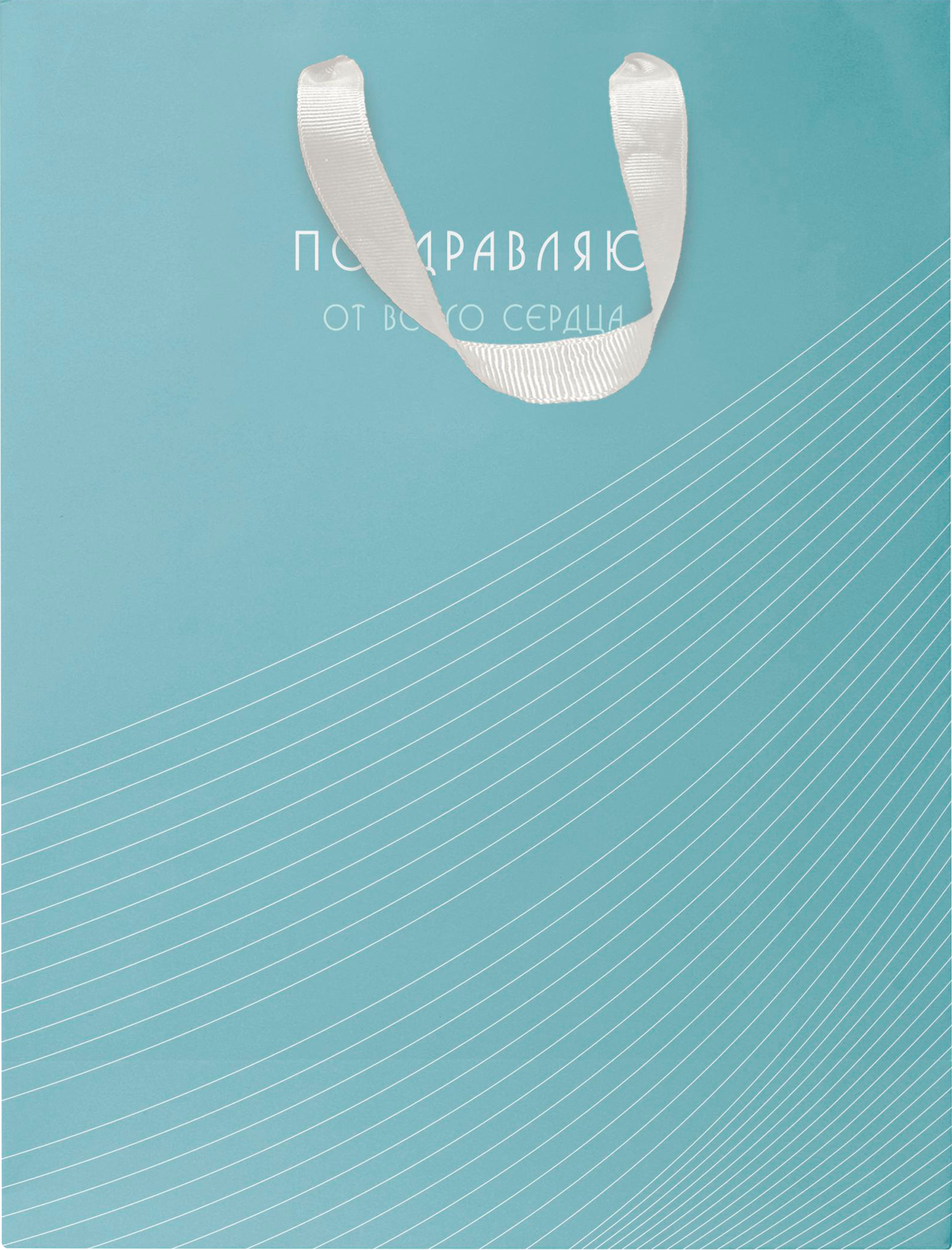 Изображение товара Подарочный пакет ПАКЕТИКО Arctic 31,5х25,5х11см бумажный эффектный для подарков