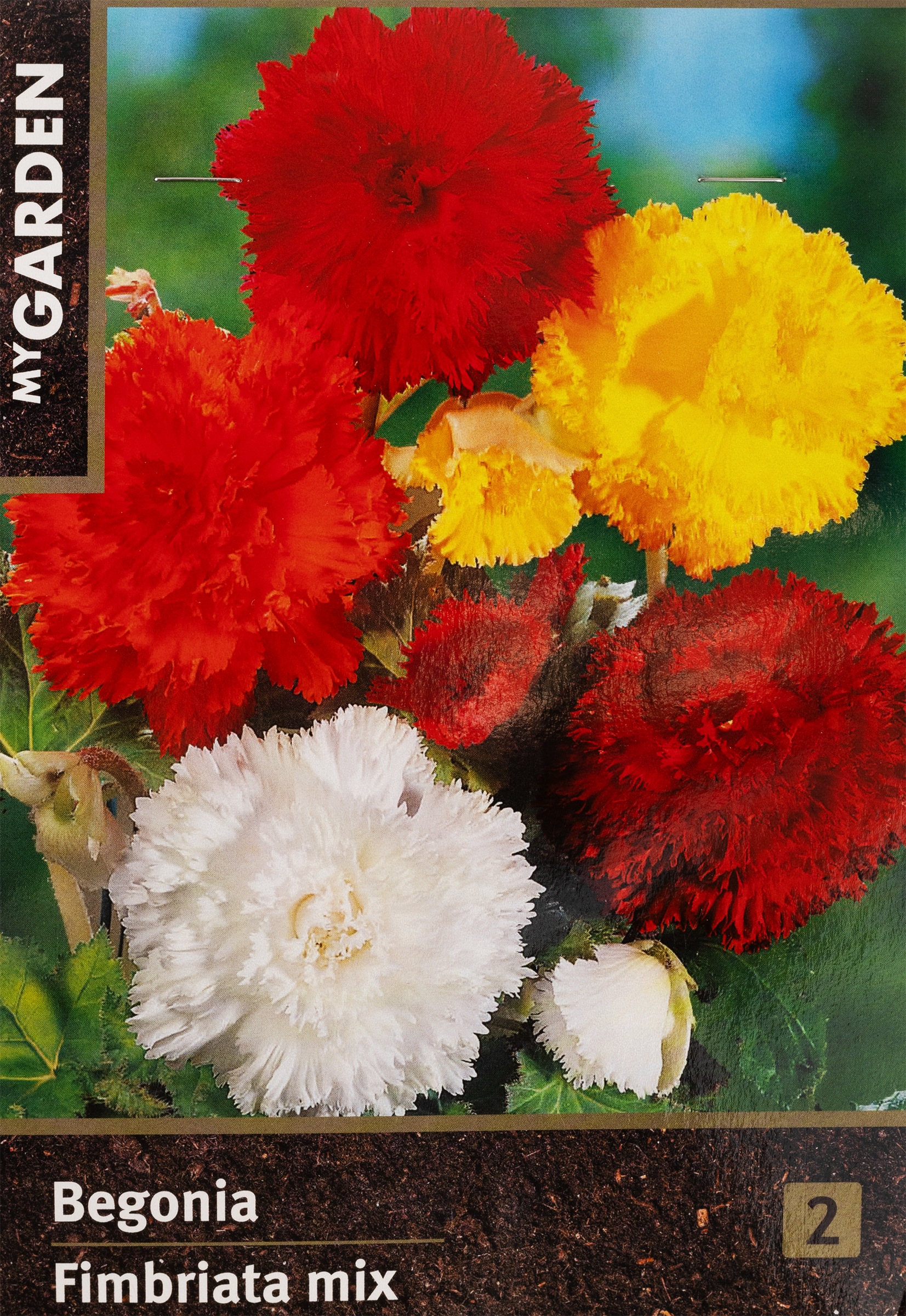 Изображение товара Луковицы MY GARDEN Бегония фимбриата, микс, 2шт