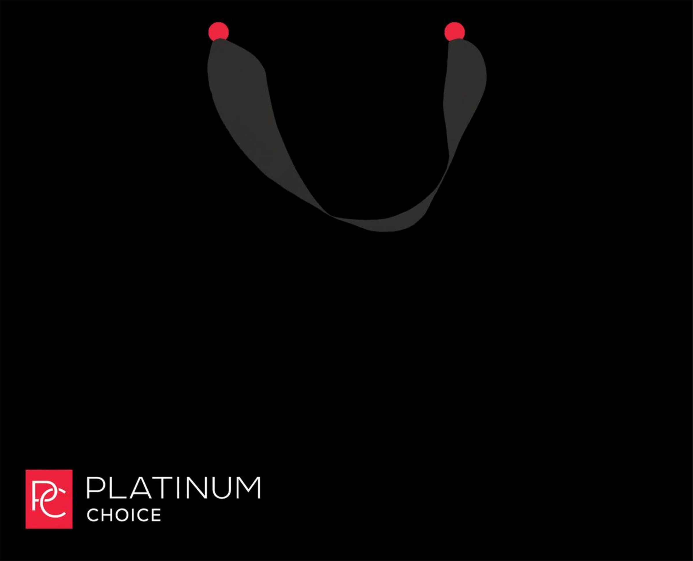 Изображение товара Подарочный пакет АРТ ДИЗАЙН PC 50х40х25см из бумаги для упаковки подарков