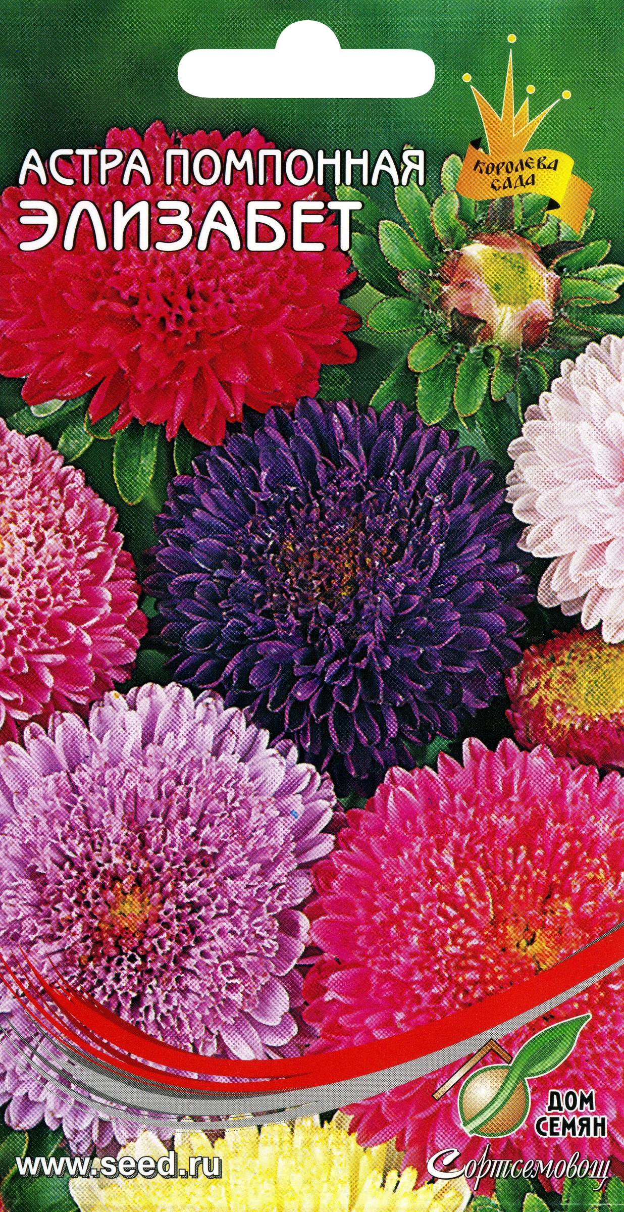 Изображение товара Семена ДОМ СЕМЯН Астра помпонная Элизабет, 2г