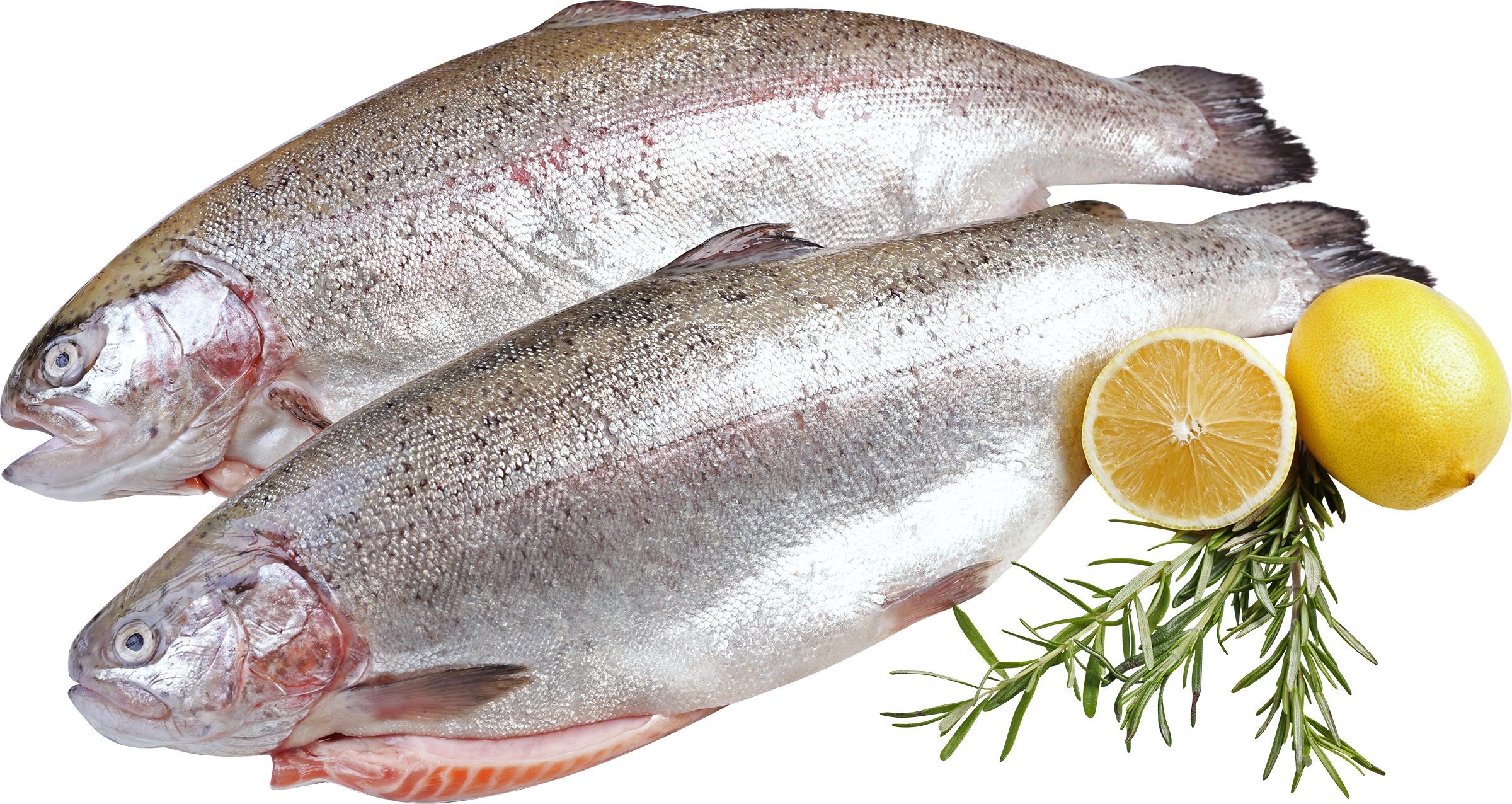 Изображение товара Форель Радужная ЛЕНТА FRESH потрошеная с головой 2-4 кг свежая