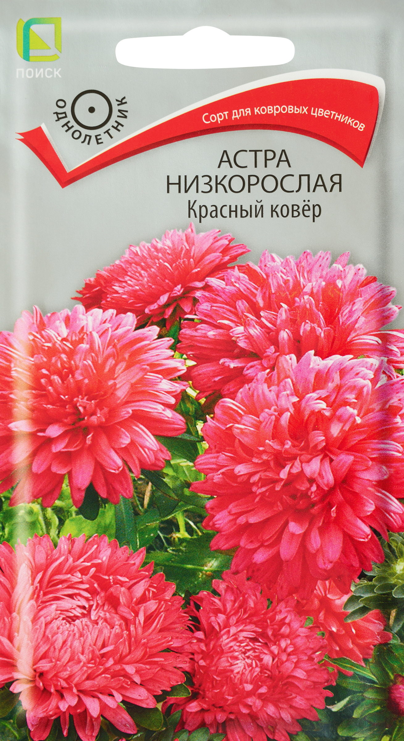 Изображение товара Семена Астра низкорослая Красный ковер 0,2г для яркого садового цветника