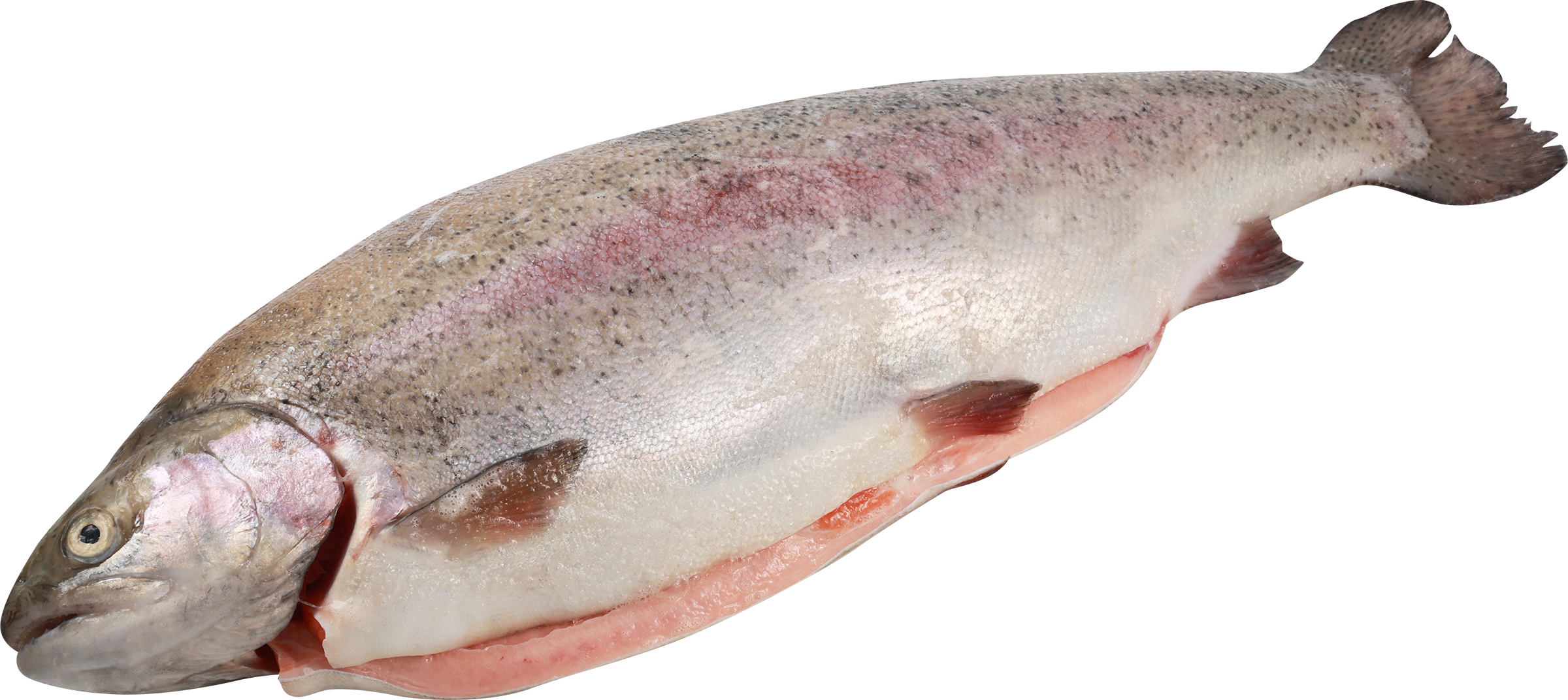 Изображение товара Форель радужная охл. вес до 2кг Карелия