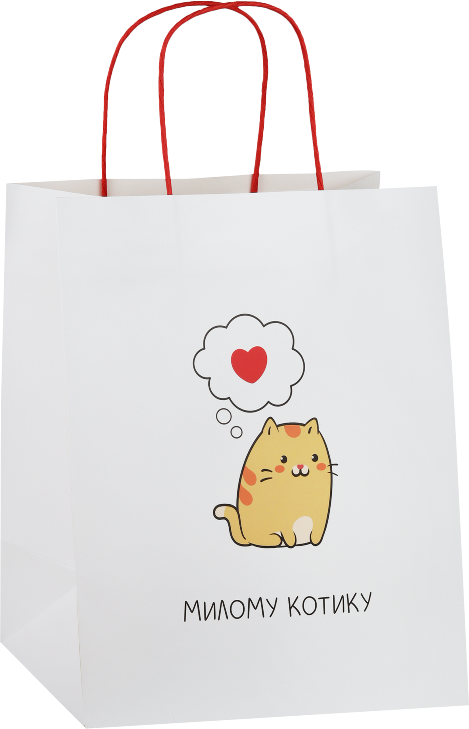 Изображение товара Подарочный пакет CITY HOME TRADE Men's Vibe 24x28x14см бумажный