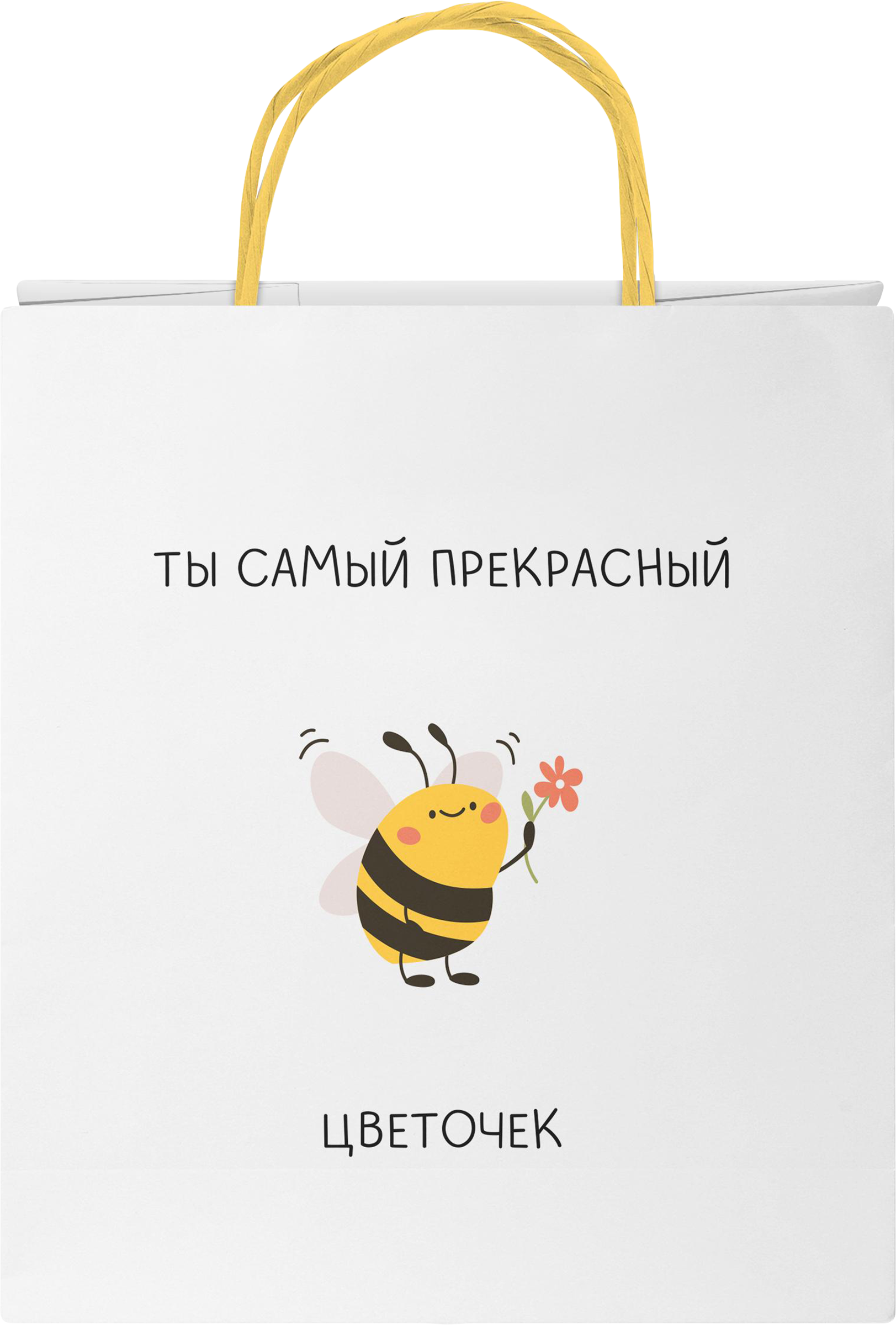 Изображение товара Подарочный пакет CITY HOME TRADE Bestie 20x24x10 см для подарков