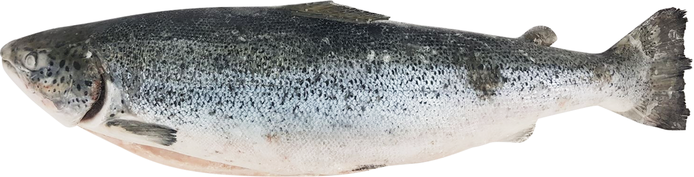 Изображение товара Лосось замороженный 5–7кг, весовой