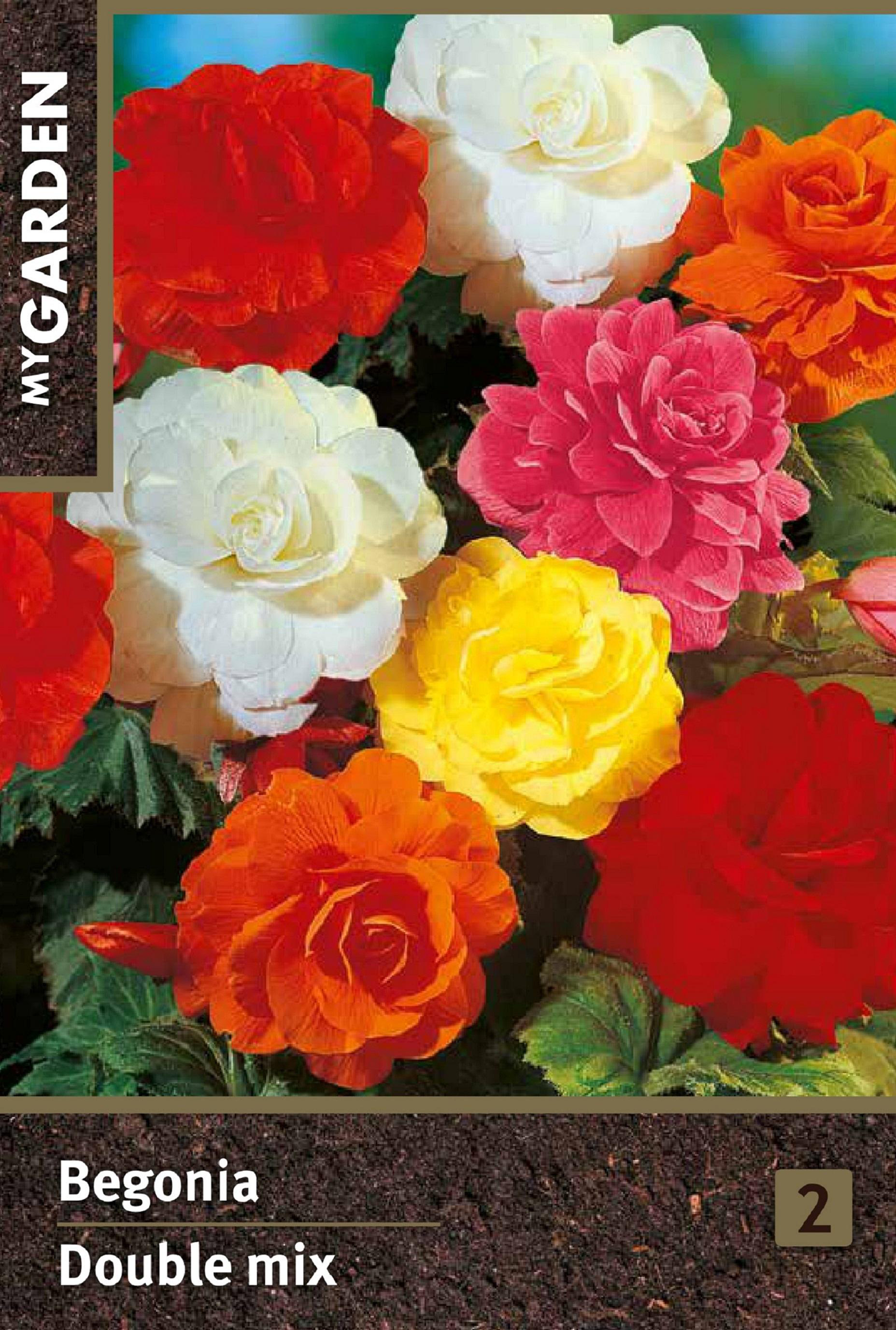 Изображение товара Луковицы MY GARDEN Бегония махровая, микс, 2шт