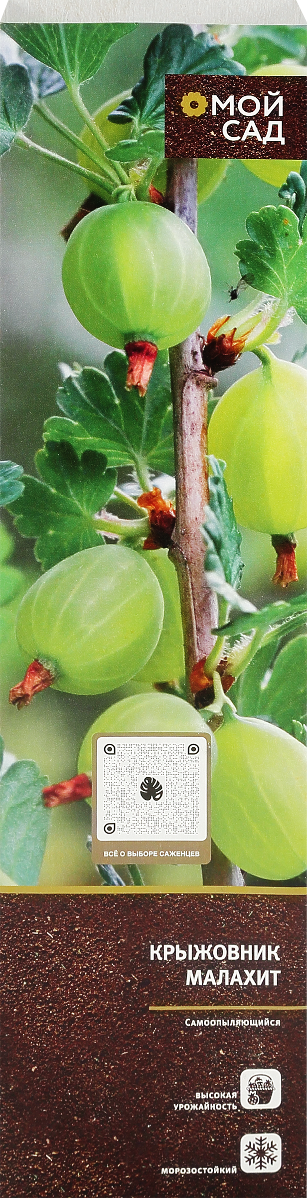 Изображение товара Саженец МОЙ САД Крыжовник, микс - кустарник для сада