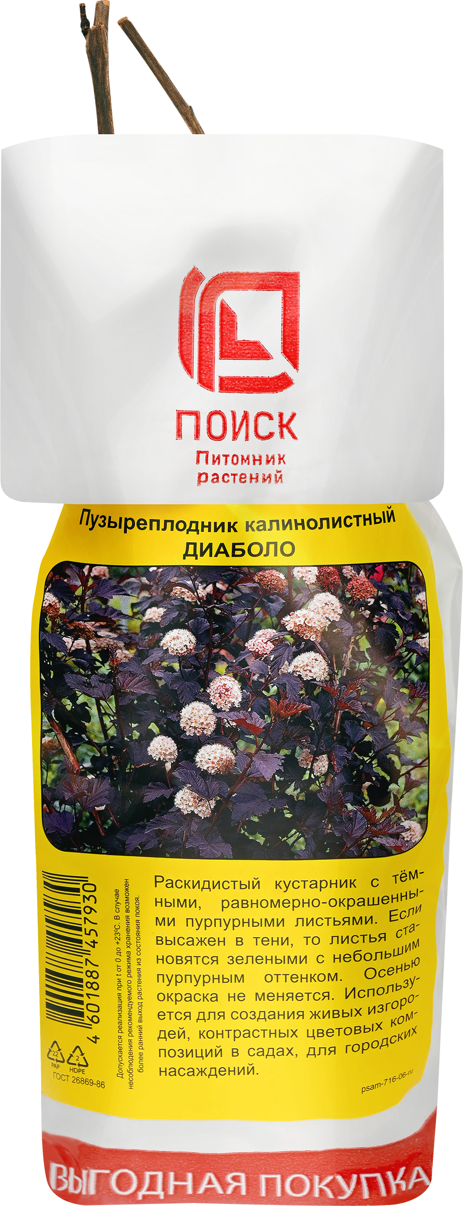 Изображение товара Саженец ПОИСК Северный сад Диаболо - Пузыреплодник калинолистный, 90 см