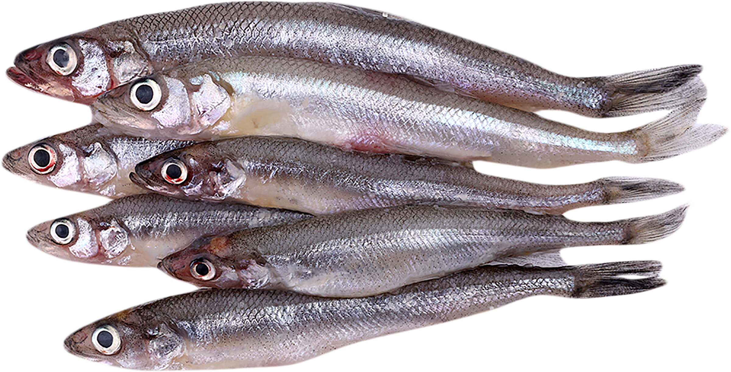 Изображение товара Корюшка ЛЕНТА FRESH средняя - свежая рыба для запекания, жарки и ухи