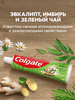 Зубная паста COLGATE Лечебные травы с натуральными ингредиентами для здоровья зубов и десен, 100мл - фото undefined