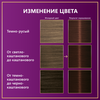 Крем-краска для волос ПАЛЕТТ Интенсивный цвет 4–60 (WN3) Золотистый кофе, 110мл - фото undefined