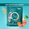 Корм сухой для взрослых кошек PURINA ONE Adult с курицей и цельными злаками, 750г - фото undefined