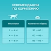 Корм сухой для взрослых кошек PURINA ONE Adult с курицей и цельными злаками, 750г - фото undefined