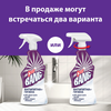 Средство для чистки от пятен и плесени CILLIT BANG Антипятна+гигиена, 
750мл - фото undefined