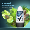 Антиперспирант роликовый мужской РЕКСОНА Men Прозрачный лед, 50мл - фото undefined