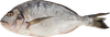 Дорадо ЛЕНТА FRESH 300–600г, весовая - фото 0