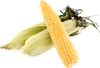 Кукуруза свежая, 1шт - фото 0