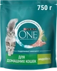 Корм сухой для взрослых кошек PURINA ONE Housecat с индейкой и цельными злаками, 750г - фото undefined