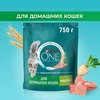 Корм сухой для взрослых кошек PURINA ONE Housecat с индейкой и цельными злаками, 750г - фото undefined