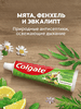 Зубная паста COLGATE Лечебные травы отбеливающая с натуральными ингредиентами для здоровья зубов и десен и белоснежной улыбки, 100мл - фото undefined