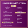 Крем-краска для волос ПАЛЕТТ C10 (10–1) Серебристый блондин, 110мл - фото undefined